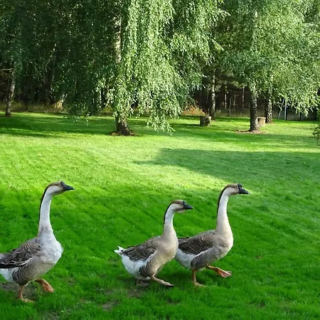 Vakantiehuis Oficynka Przy Lesie